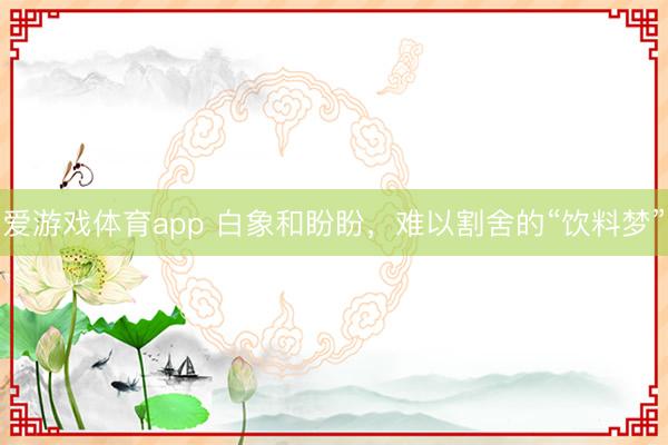 爱游戏体育app 白象和盼盼，难以割舍的“饮料梦”