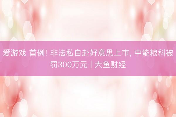 爱游戏 首例! 非法私自赴好意思上市, 中能粮科被罚300万元 | 大鱼财经