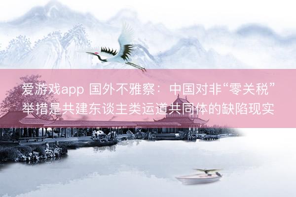 爱游戏app 国外不雅察：中国对非“零关税”举措是共建东谈主类运道共同体的缺陷现实